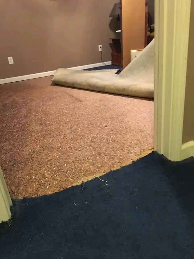Carpet pad removal revealing water damage during Water Mitigation Services in San Luis
